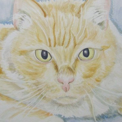 kitty