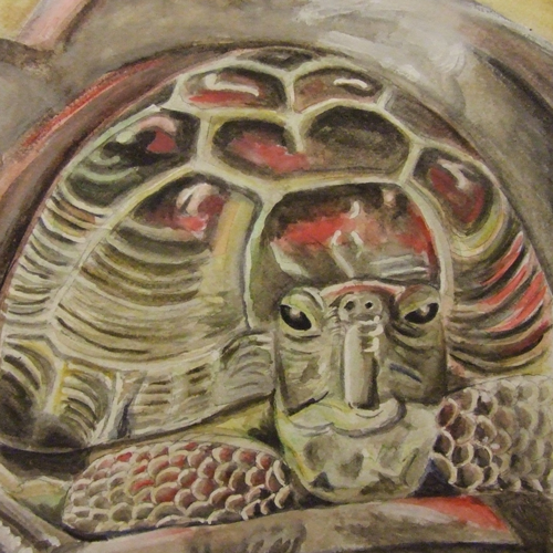 turtle